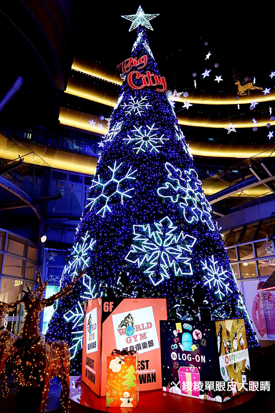 新竹聖誕節最夯打卡地標！可愛小熊維尼聖誕裝置和巨型聖誕樹