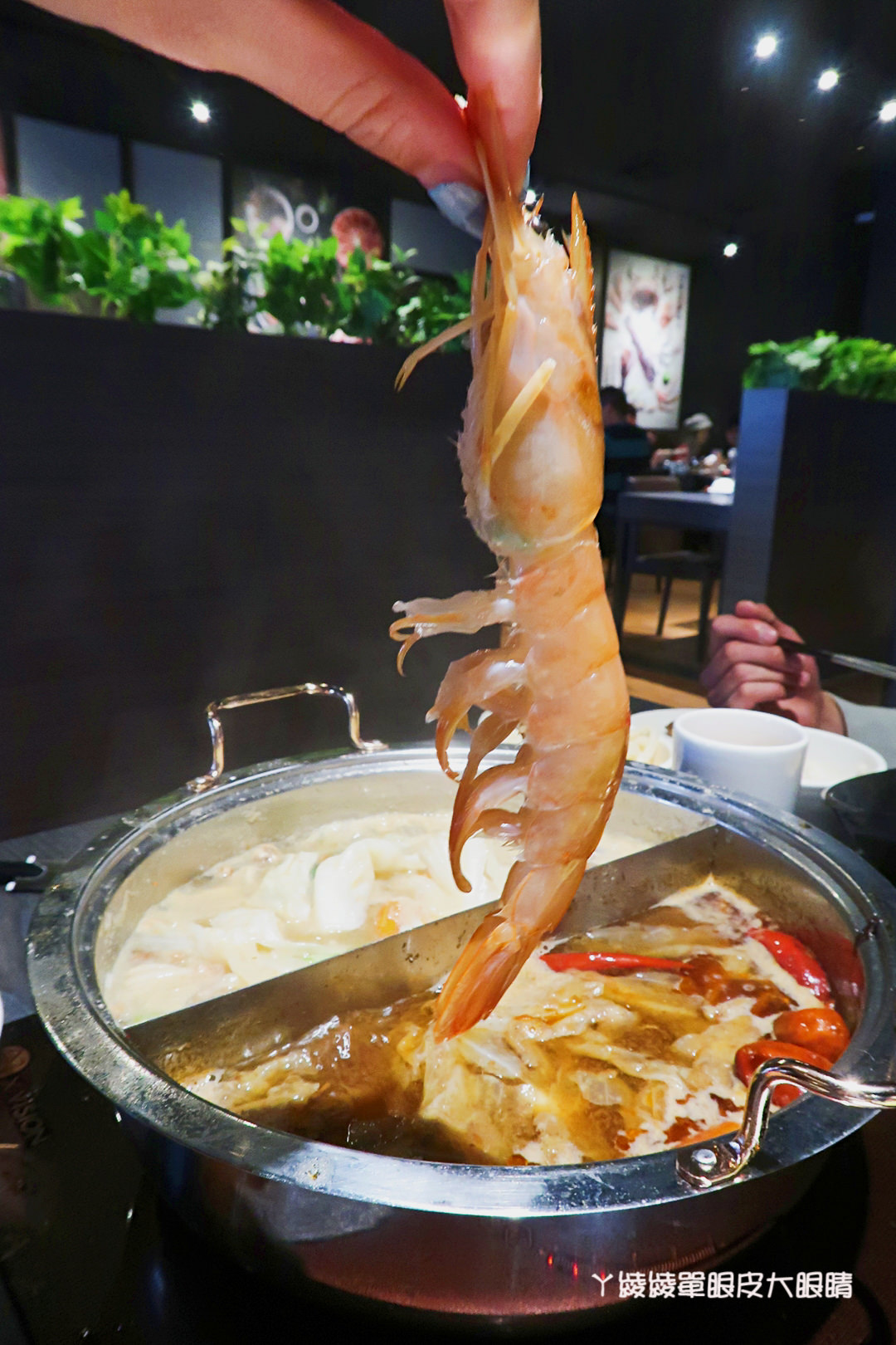 台南東區火鍋推薦！方圓涮涮屋｜上桌還會動！活龍蝦及大份量肉品吃到嫑嫑