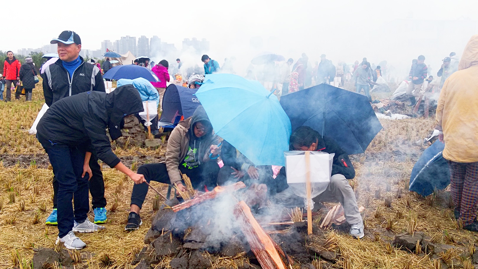 2020竹東地瓜節焢窯強勢回歸！竹東地區出現巨型稻田迷宮，連兩天放假一起來體驗農村活動