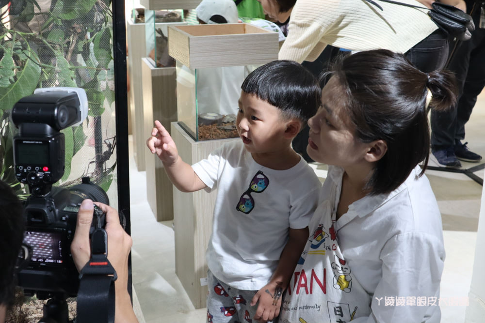 新竹市台灣昆蟲館、氣象站開幕營運！親子一起來新竹公園參加新竹蟲蟲派對、小兒子聯名特展