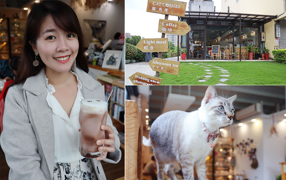 新竹貓咪餐廳推薦貓角落！竹北高鐵附近寵物友善餐廳，新竹免費插座WIFI不限時咖啡廳