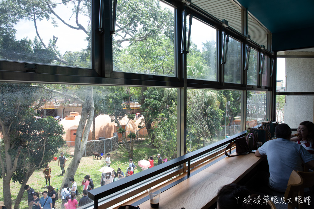 星巴克新竹動物園門市正式開幕！喝咖啡有機會看到動物窗外出沒，IG拍照打卡藝術牆面