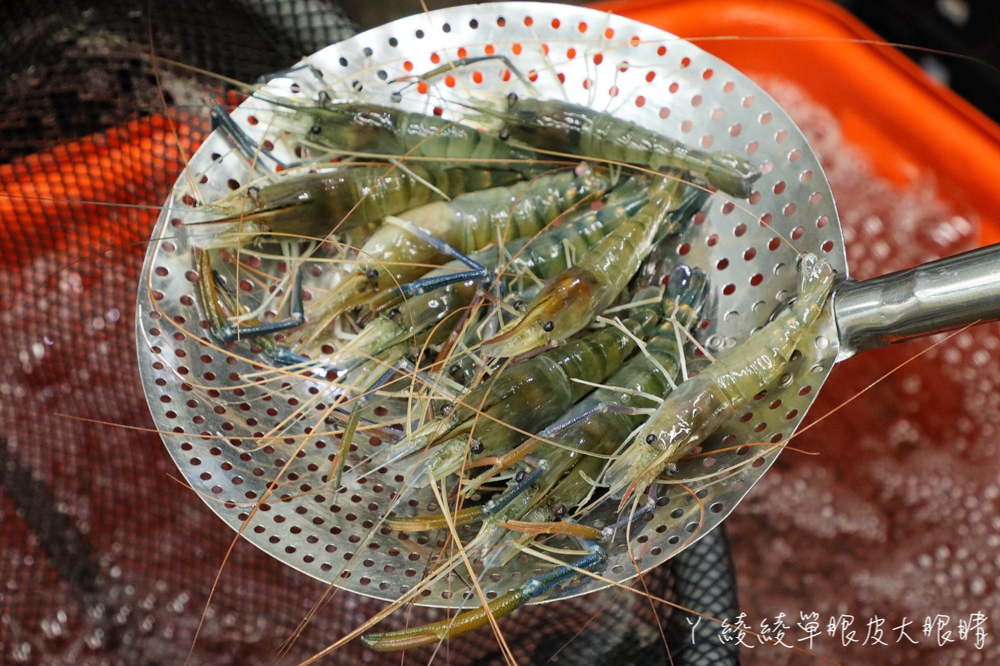 活跳跳的海鮮哪裡買？新竹活體海鮮推薦竹北池汣鮮物，肉品水果價格超便宜