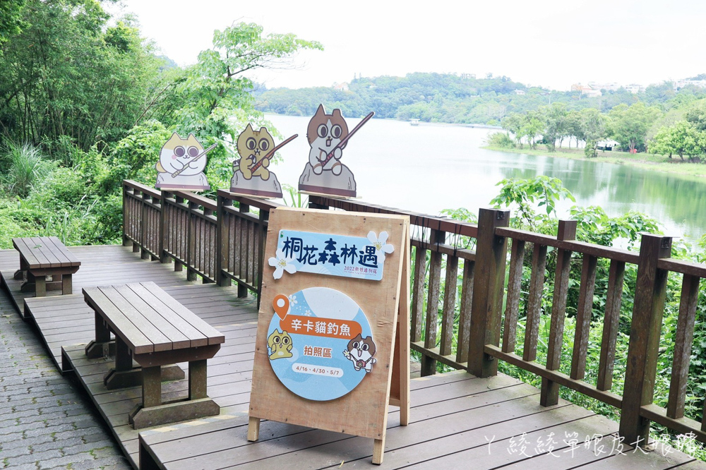 2022新竹遶桐花桐花森林遇，把握倒數跟辛卡貓拍照打卡的機會！環湖闖關逛市集