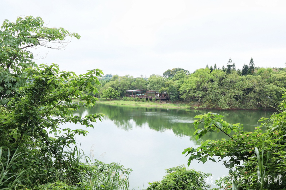 2022新竹遶桐花桐花森林遇，把握倒數跟辛卡貓拍照打卡的機會！環湖闖關逛市集